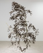 An Interview with Manuel Cirauqui