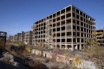Detroit’s Edible Gardens; Art and Agriculture in a Post-Environmental World